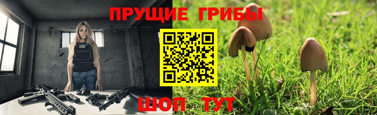 Псилоцибиновые грибы прущие грибы  купить   Шатура  Вход с VPN 